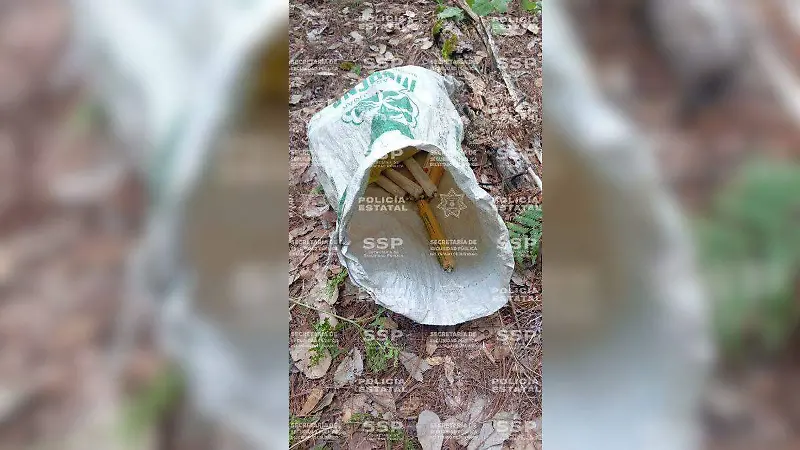 Policía Estatal y Ejército aseguran decenas de explosivos improvisados en Tamazula, Durango